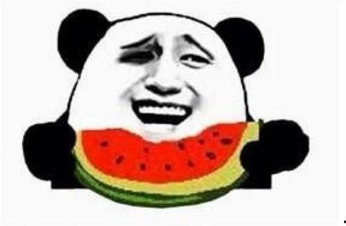 七零之吃瓜群众路昭,揭秘网络时代的围观力量