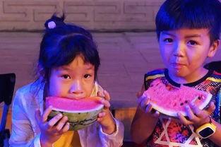 吃瓜群众调皮好玩,欢乐无限，笑料连连