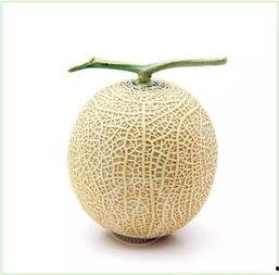 蒙阴吃瓜群众是谁啊,网络红人的崛起之路